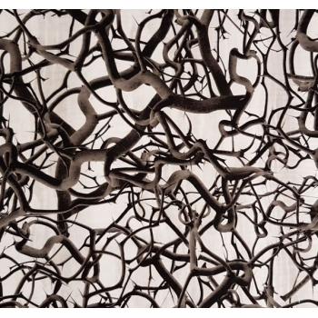 Folia do hydrografiki - Design D022